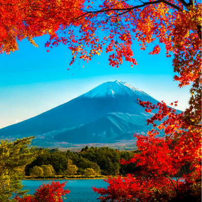 MOUNT FUJI