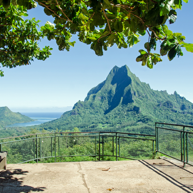 BELVEDERE LOOKOUT