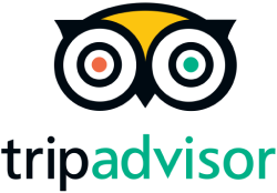 trip-advisor